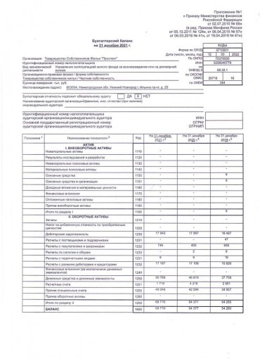 Бухгалтерский баланс за 2021г. стр.1