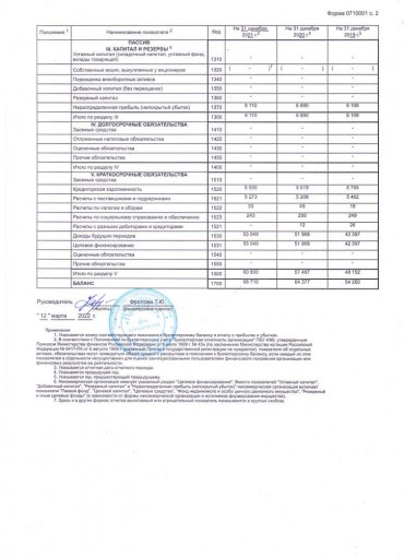 Бухгалтерский баланс за 2021г. стр.2